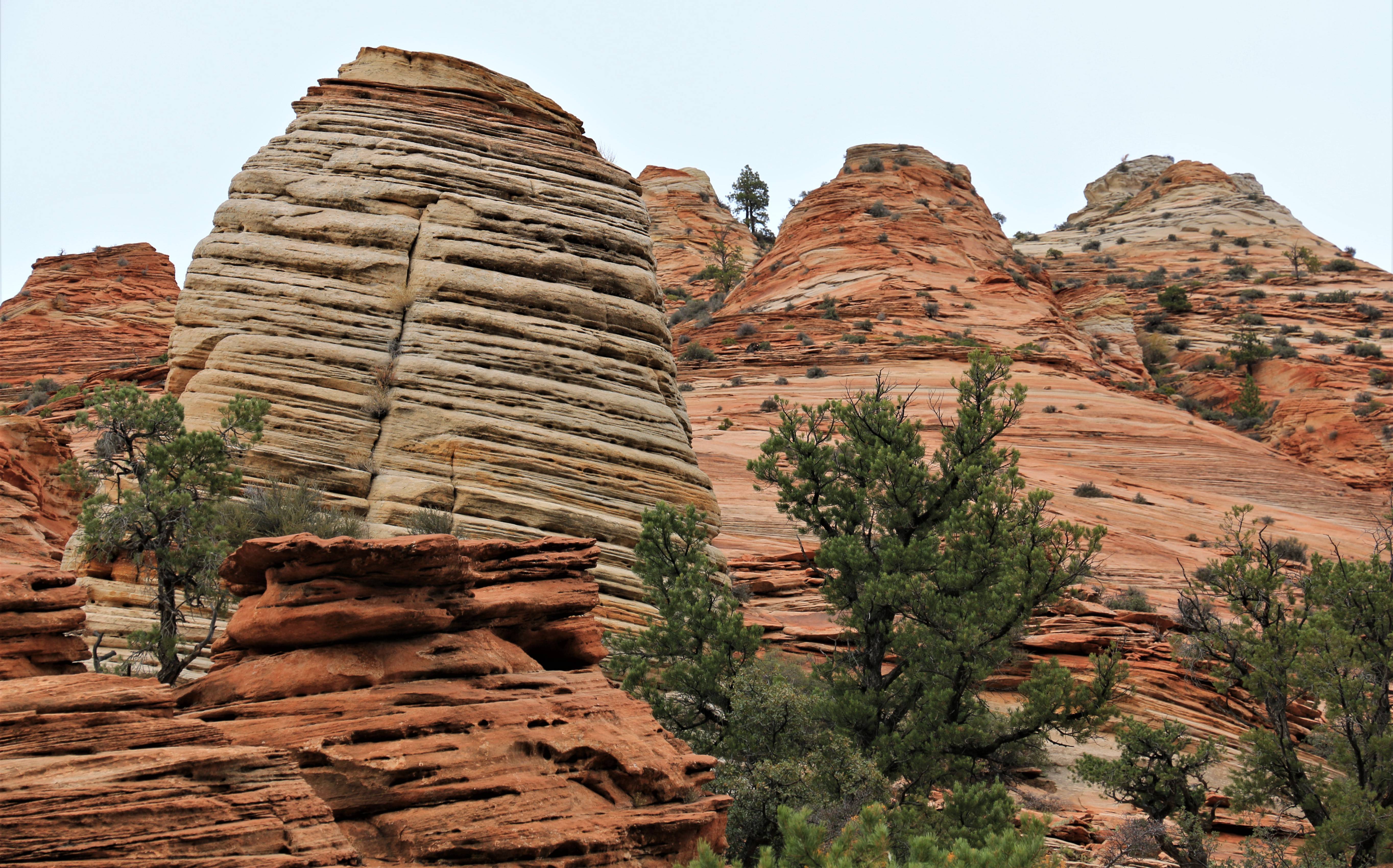 Zion NP